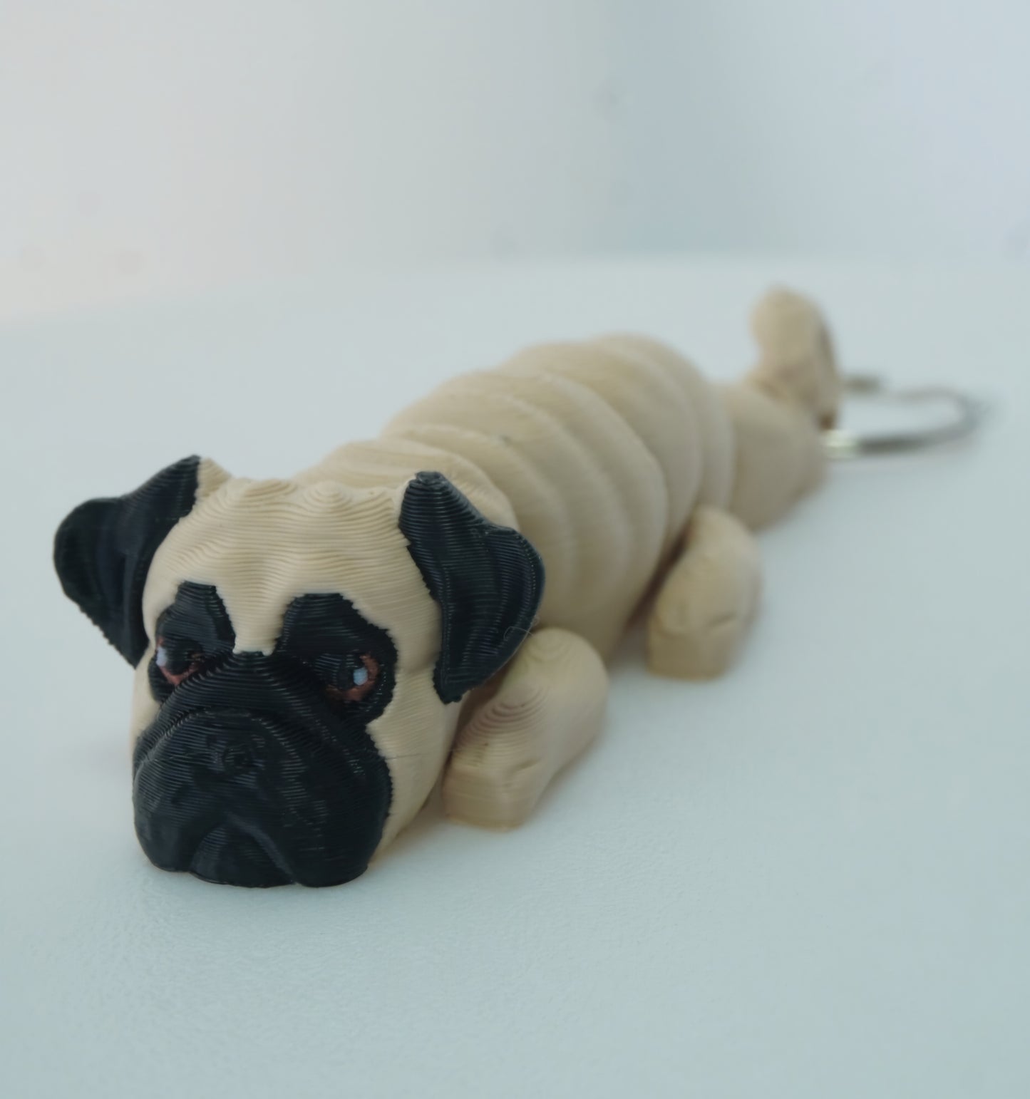 Baby Mopsas Šuniukai