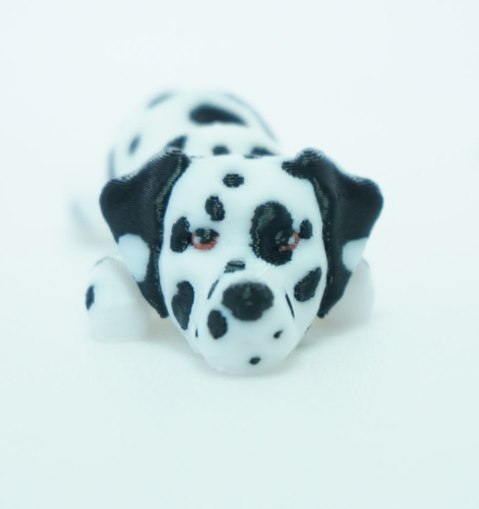 Baby Šuniukai Dalmatinai, Front Face