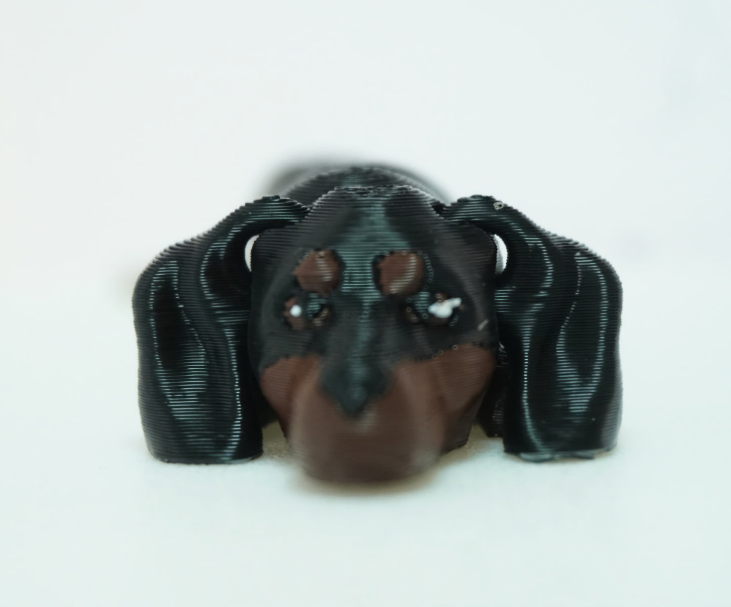 Baby Taksas, Front Face