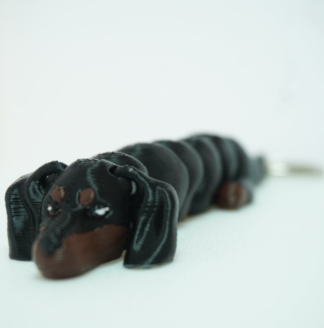 Baby Taksas Šuniukai