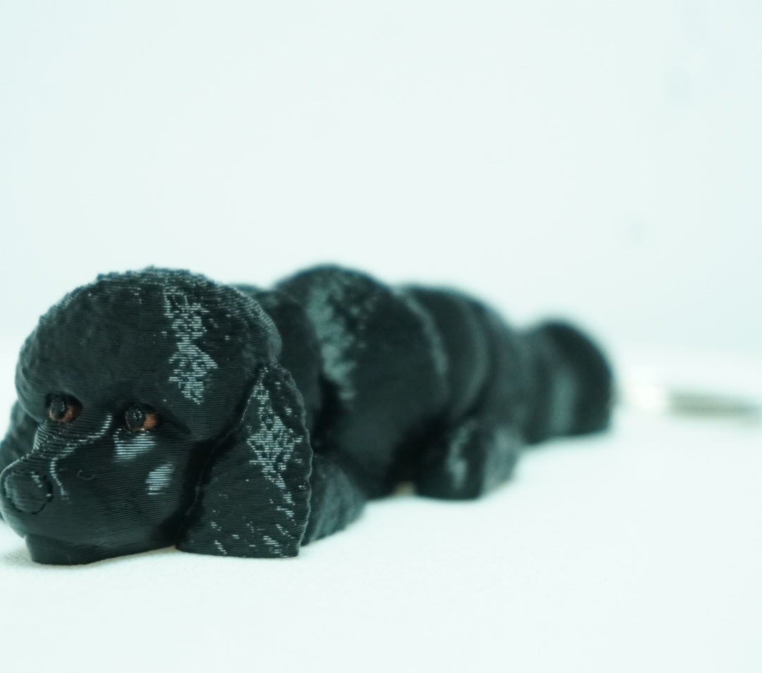 Baby Juodas Pudelis Šuniukai