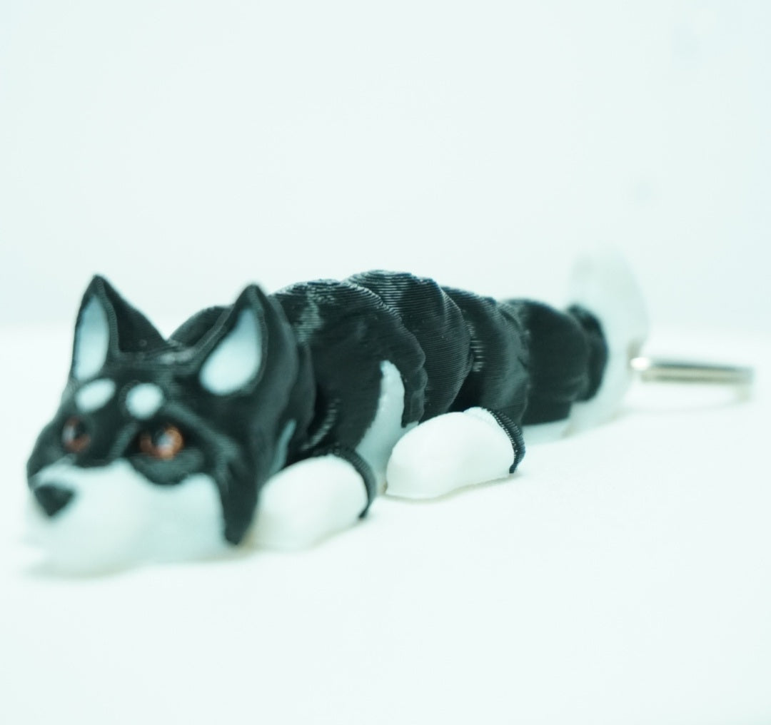 Baby Haski Šuniukai