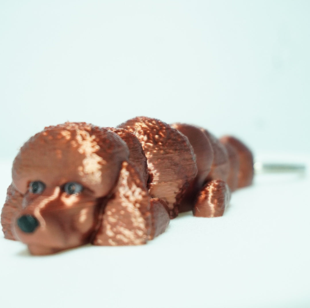 Baby Rudas Pudelis Šuniukai