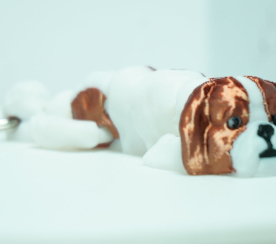 Baby Pekinas Šuniukai