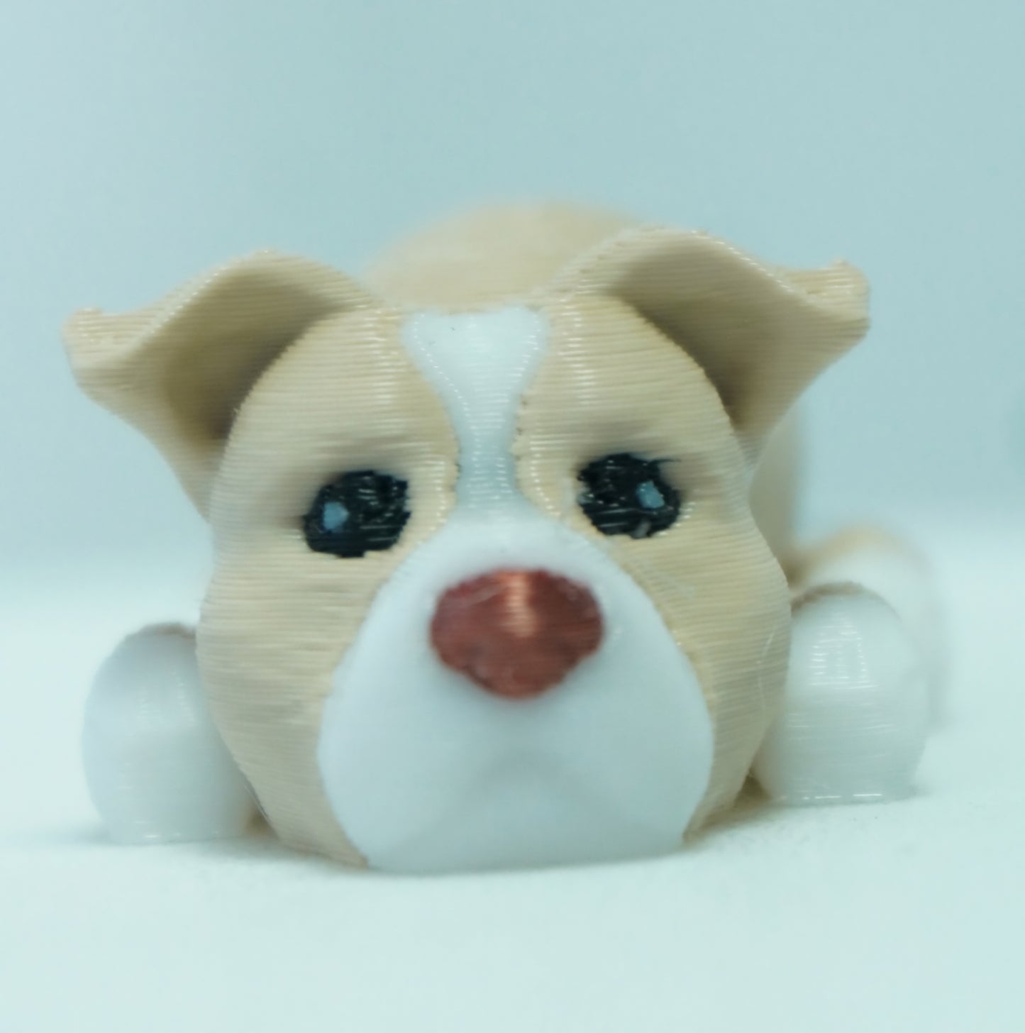 Baby Smėlinis Pitbulis Šuniukai