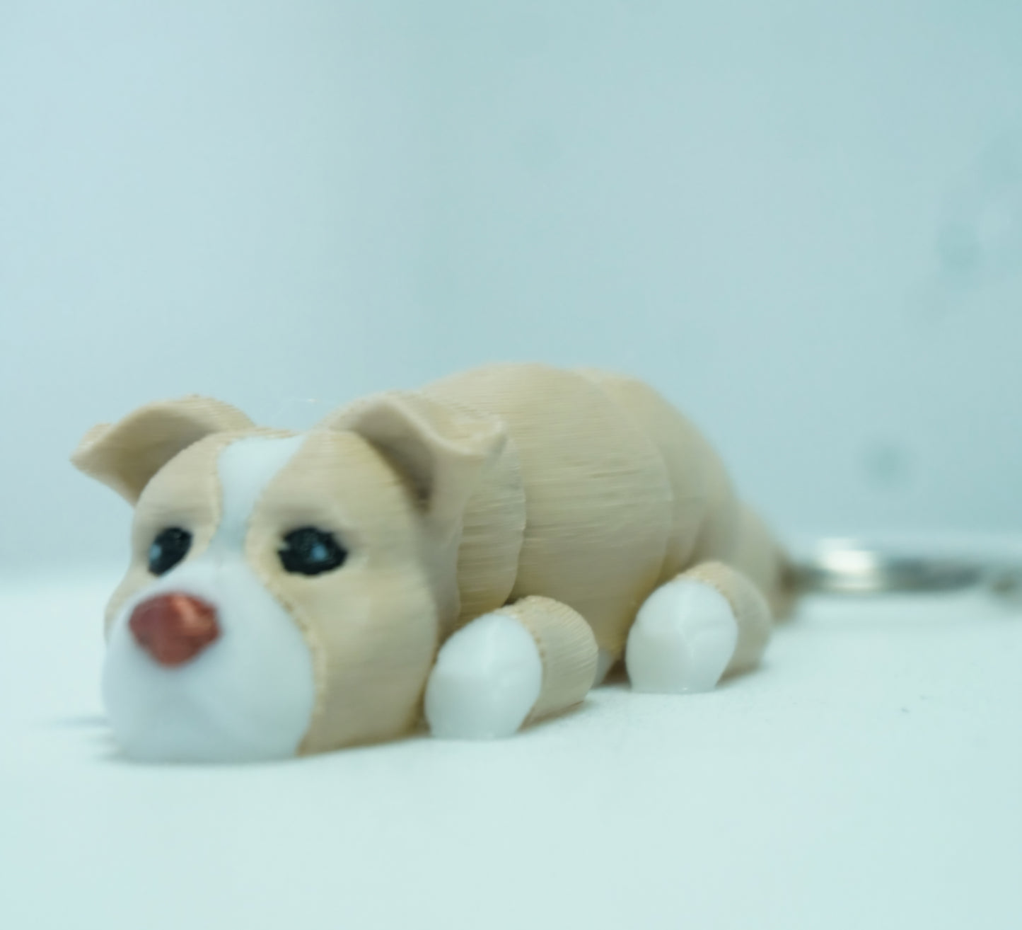 Baby Smėlinis Pitbulis Šuniukai