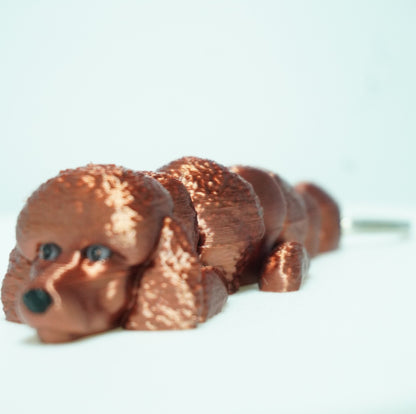 Baby Rudas Pudelis Šuniukai